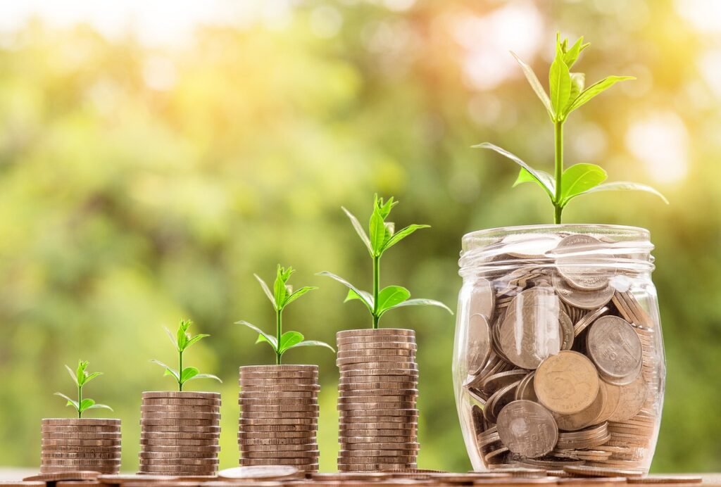 Saving for Travel: How Today’s Sacrifices Create Tomorrow’s Freedom Picture of money growing to demonstrate what will happen if my steps are followed.
