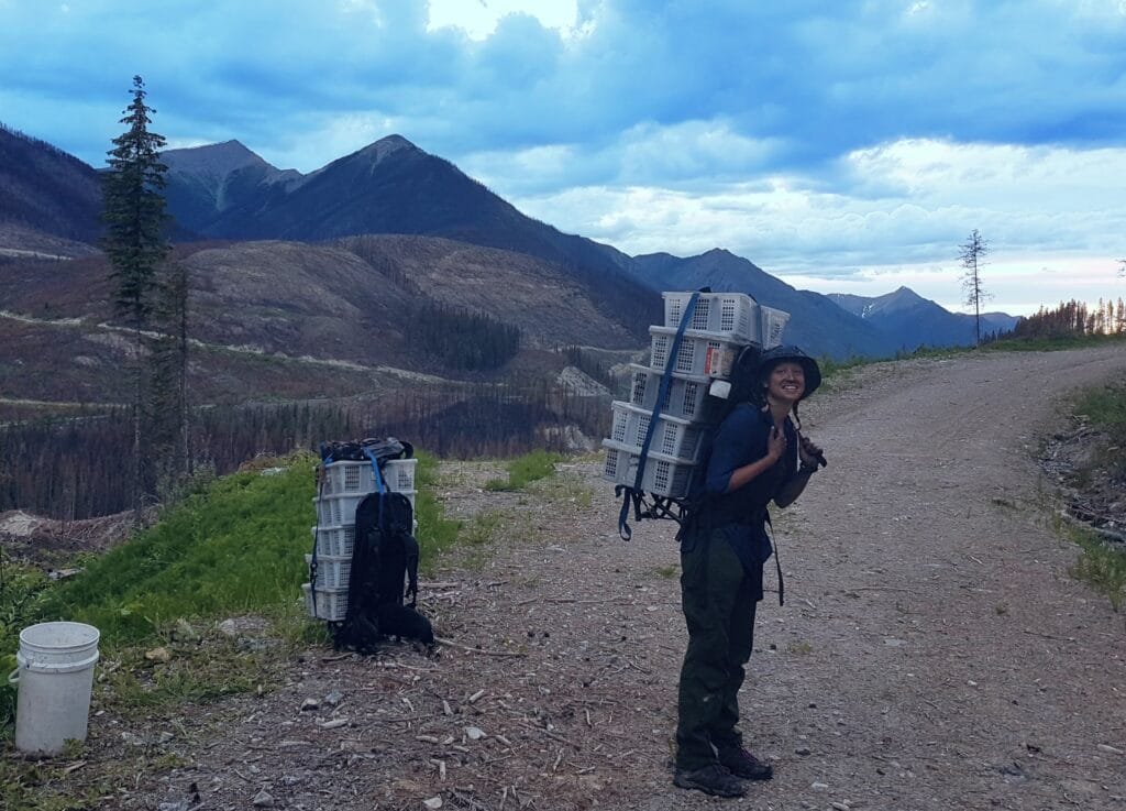 Picture of me (Missy) carrying 50lbs of mushrooms on my back in Canada.  Demonstrating the work opportunities available abroad.